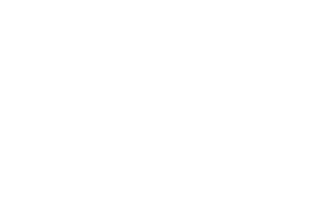 UW madison crest